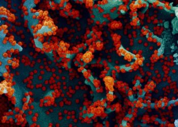 Estudio: Variantes similares a delta tienen más probabilidades de aumentar la gravedad de la pandemia