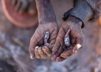 ONU: 45 millones de personas al borde de la hambruna en todo el mundo