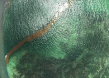 Dominicanos diseñan primer satélite que pronosticará llegada del sargazo a playas del Caribe