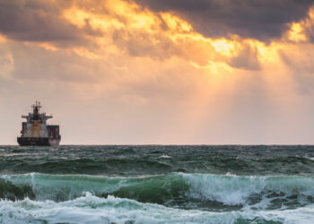 Precios recuperan al comercio marítimo, pero no al consumidor