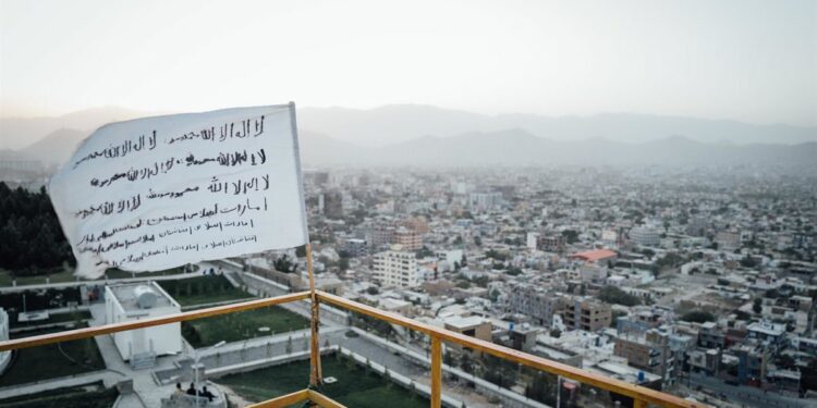 Purga en las fuerzas de Los talibán: Expulsan a 200 integrantes por abuso de poder