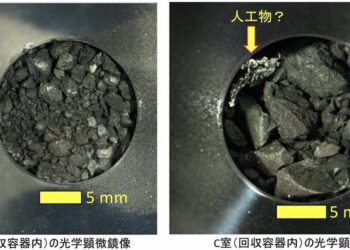 Biólogos de invasión reclaman su papel en la bioseguridad planetaria
