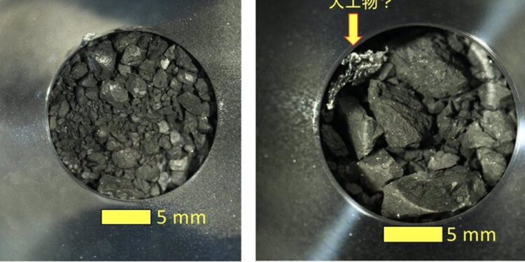 Biólogos de invasión reclaman su papel en la bioseguridad planetaria