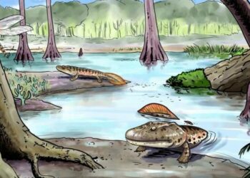 Descubrir que las especies que evolucionan rápido tienen más riesgo de extinguirse