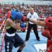 Asociación de Boxeo de Santiago se defiende de ataques en redes sociales