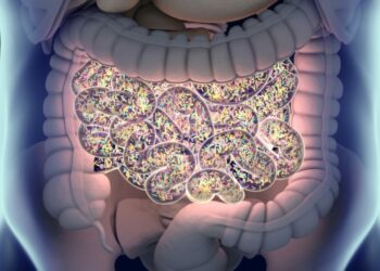 Estudio relaciona por primera vez el microbioma intestinal y el cáncer de próstata agresivo