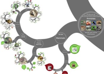 Algoritmos y 'big data' hacen posible el 'Google Earth de la biología'