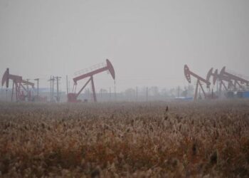 Logran cultivar un microbio milagroso que convierte petróleo en gas