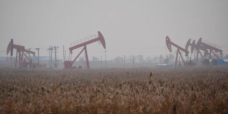 Logran cultivar un microbio milagroso que convierte petróleo en gas