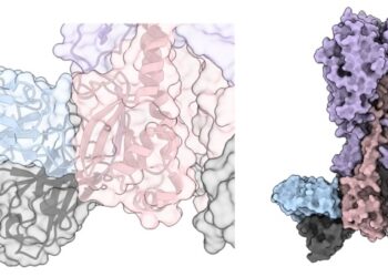 Científicos identifican un 'talón de Aquiles' del virus de la gripe