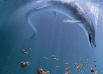 Así era la primera criatura gigante que habitó la Tierra