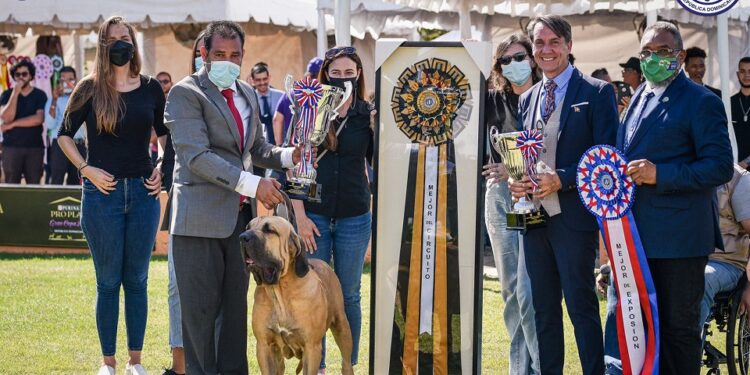 Realizan en RD exposición canina internacional con más de 200 perros de todas las razas