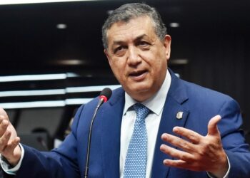 Consideran en el PLD de política la reacción de Yeni Berenice Reynoso