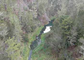 Aprueban protocolo para acampar de forma regulada en Parque Nacional Valle Nuevo