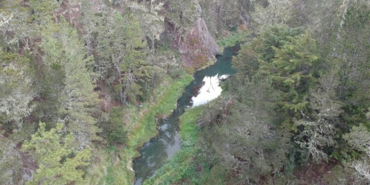 Aprueban protocolo para acampar de forma regulada en Parque Nacional Valle Nuevo