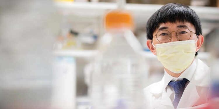 Identifican el Sildenafil como fármaco candidato para la enfermedad de Alzheimer