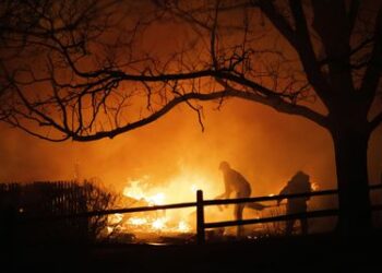 Biden anuncia la declaración de desastre mayor por los incendios en el estado de Colorado