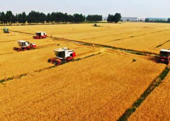 China supera la meta oficial de crecimiento económico par el 2021