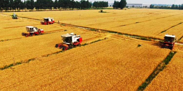 China supera la meta oficial de crecimiento económico par el 2021