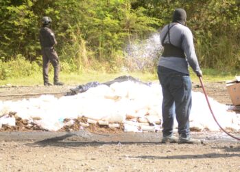 Autoridades incineran 1,332 kilogramos de drogas