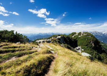 Scotiabank amplía el Net Zero Research Fund a $10 millones (CAD)