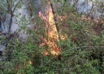 Enero y junio meses en que empiezan los fuegos forestales en República Dominicana