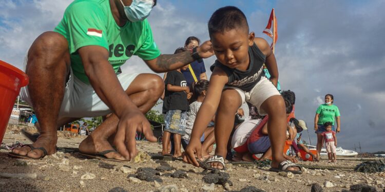 Liberan a su hábitat natural a 43 tortugas gigantes criadas en cautiverio en islas Galápagos