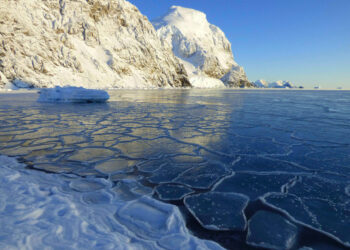 2021 fue uno de los siete años más cálidos jamás registrados
