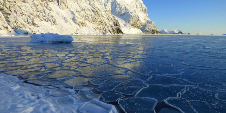 2021 fue uno de los siete años más cálidos jamás registrados