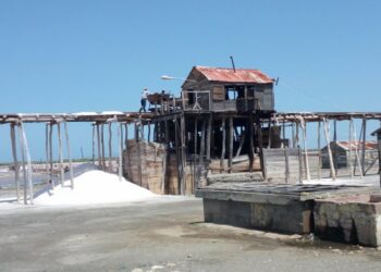 Senado solicitará al Presidente estudiar exploración y explotación de Litio en RD