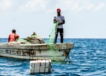 Empresas exploradoras de hidrocarburos“cubearon” a decenas de pescadores de SPM