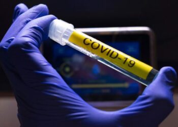 Investigadores descubren que la variante Ómicron puede haberse originado en ratones