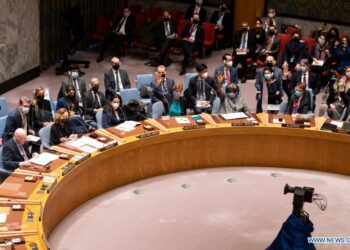 Consejo de Seguridad de ONU no logra adoptar resolución sobre Ucrania