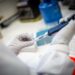 El final de un ensayo irrepetible: 34 voluntarios se dejaron contagiar de covid-19 para saber más sobre el virus