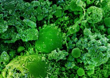 La infección protege hasta un 86% del riesgo de volver a ser positivo en COVID-19