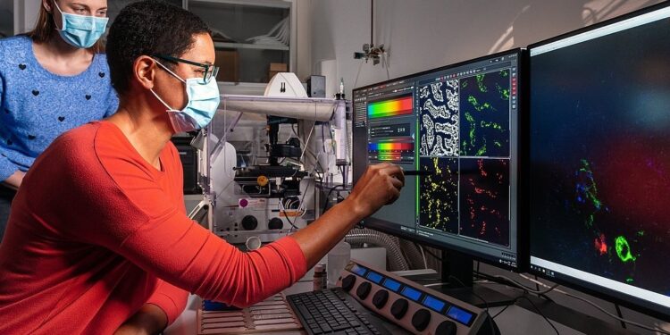 Descubren una causa de la enfermedad inflamatoria intestinal