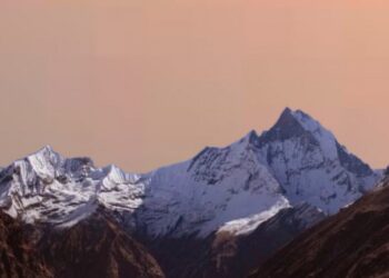 Supermontañas controlaron la evolución de la vida temprana