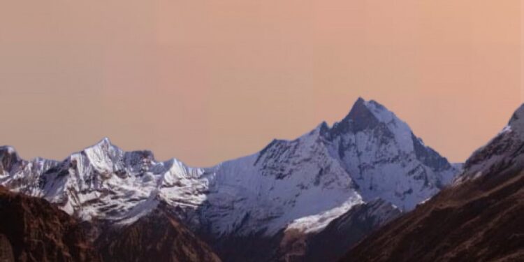 Supermontañas controlaron la evolución de la vida temprana