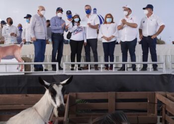 Abinader puso en marcha proyecto para crianza de chivos y ovejas en Azua