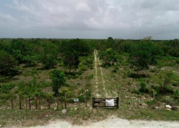 TSA vuelve a rechazar construcción del Aeropuerto Internacional de Bávaro  