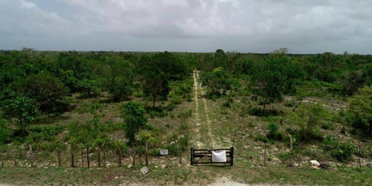TSA vuelve a rechazar construcción del Aeropuerto Internacional de Bávaro  