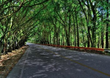 DIGESETT prohíbe tránsito vehículos pesados por carretera La Vega-Jarabacoa