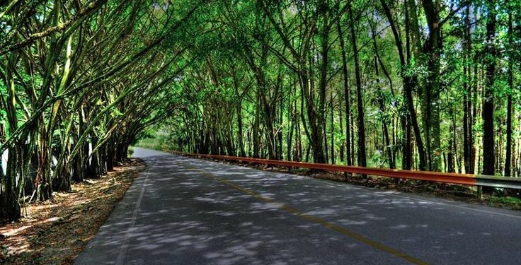 DIGESETT prohíbe tránsito vehículos pesados por carretera La Vega-Jarabacoa