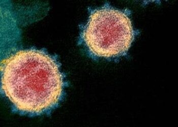 Deltacron: La OMS confirma una variante que combina ómicron y delta