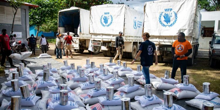 El hambre amenaza a más de cuatro millones de haitianos