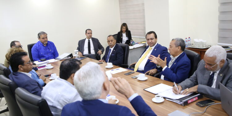 Diputados analizan con FINJUS sobre las propuestas de reforma a la Ley Electoral y de Partidos