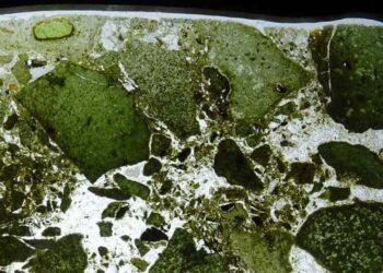 Rastros de vida pasada en el manto profundo de la Tierra