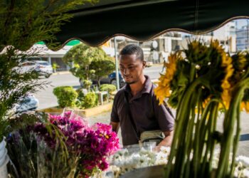 República Dominicana entre los países de la región en que empresas y hogares recuperan su crédito