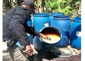 Decomisan 2,713 litros de alcohol artesanal serían comercializado en Semana Santa