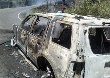 Brigadas de medioambiente sofocan incendio forestal en Valle Nuevo